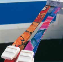 bunte_venenstauer_servoprax