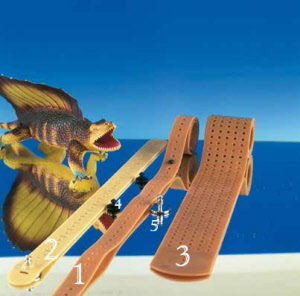 extremitaetenband_17c